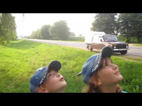 Пчеловодство. Роеловство. Рой живущий в памятнике. Интересное о пчёлах. #Shorts #Пчеловодство #Рой