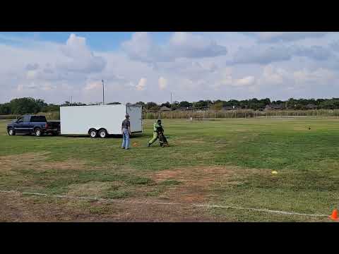 Jasper z Atarova Sadu PSA1 Trial 2022 Protection Surprise Attack