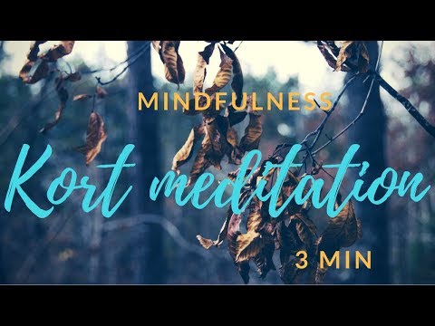 Kort meditation (3 min guidad meditation) | Livs Mindfulness