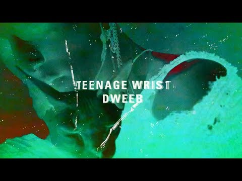 Teenage Wrist - Dweeb (Full Album Stream)