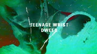 Teenage Wrist - Dweeb video