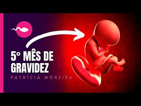 5 MONTHS OF PREGNANCY | Weeks 17, 18, 19, 20, 21