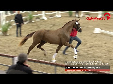 Hengst v. For Romance I - Vivaldi - Ferragamo