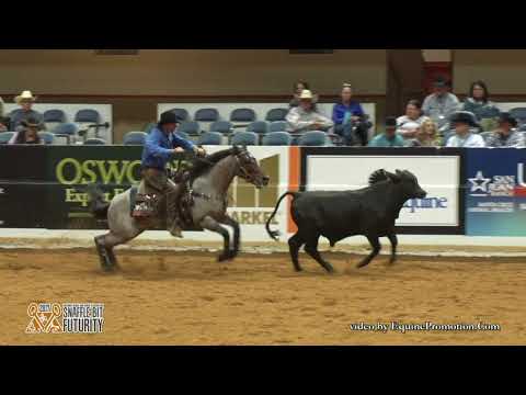 Plain Catty ridden by Jake D. Gorrell  - 2017 Snaffle Bit Futurity (Cow Work, IO/LO FINALS)