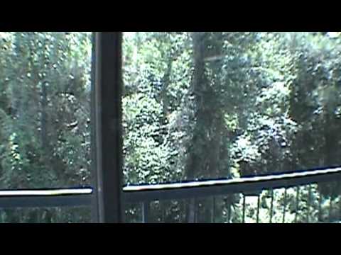 "Lutz Condo For Rent" 2BR/1BA by "Lutz Property management"