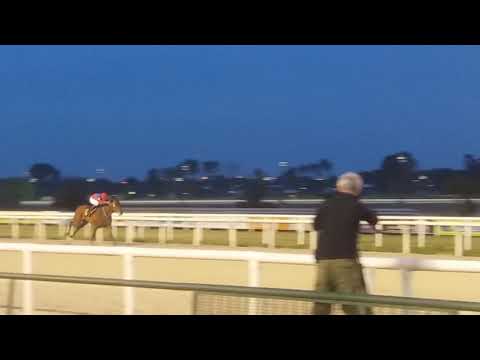 La llegada del Gran Premio Comparación desde el disco en Maroñas