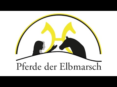 Hengstfohlen von Bon Coeur - San Amour - Connery geb. 01.05.2016