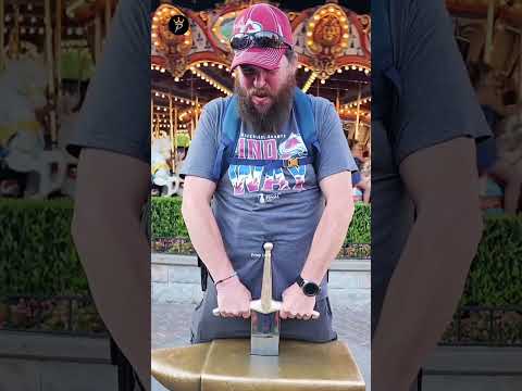 Even adults can't do these in Disneyland but cats can