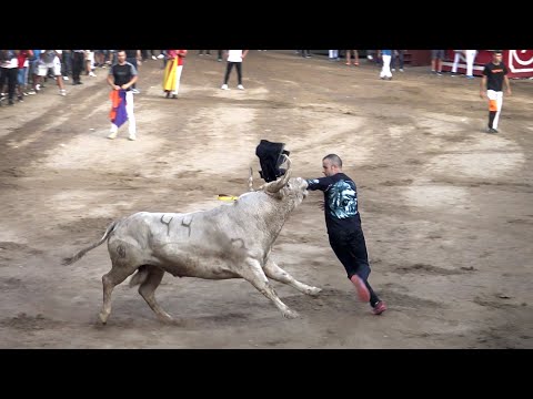 Toros Bravos Onda 2022