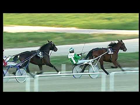 Trotto 12/01/2021 - 6ª corsa