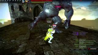 [Vindictus NA] Hammer Fiona -No hit- No items Muir (Meer) Strategy