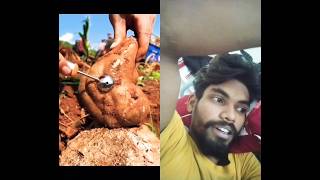 Download lagu Beautiful Nature With Fruits World 🥝🥝🍒🍎🍇🫐 #199 #nsture  #fruitworldasmr #shorts mp3