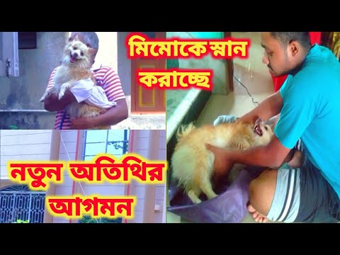 বাড়িতে আসল নতুন অতিথি // Bengali vlog // স্নানের পর মিমোর কান্ড 😋 Vlog- 40 // Dog Bath Day