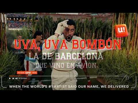 バッド・バニーが歌った一言で、店が開いた / UVA APP「UVA UVA BOMBÓN」