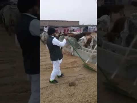 VGM group National president : Lokesh Sanskrit