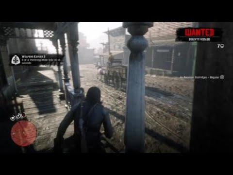 Red Dead Redemption 2 - Weapons Expert Challenge 2