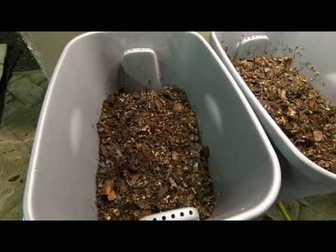 Experimental Worm Fun- ANC Restricted Space #1