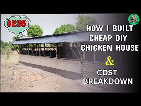 How I Built a Simple & Cheap DIY Chicken House Step by Step & Cost Breakdown.