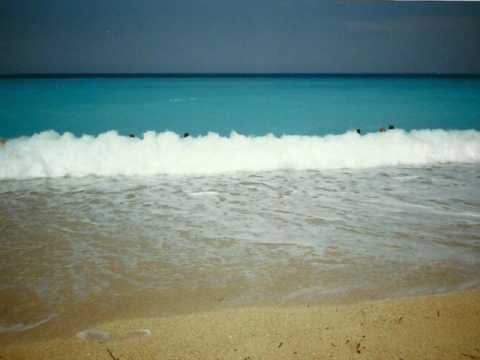 midnight summer dream dreamers-DREAMERS INC