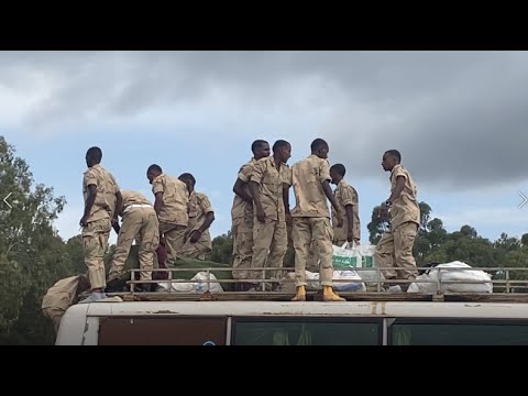 ምቕባል ተምሃሮ ሳዋ ዙር ጽምዶ - Sawa  Eritrea's Uncharted Odyssey