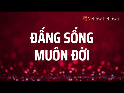 Thể hiện bởi Vy Xuân