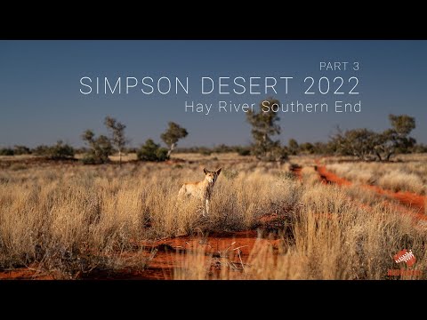 Simpson Desert | Hay River Southern End  Part 3 ALLOFFROAD [2022]