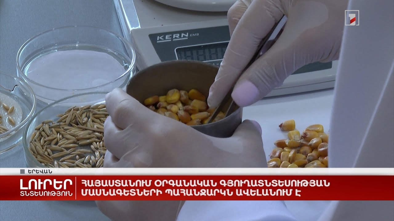 Հայաստանում օրգանական գյուղատնտեսության մասնագետների պահանջարկն ավելանում է