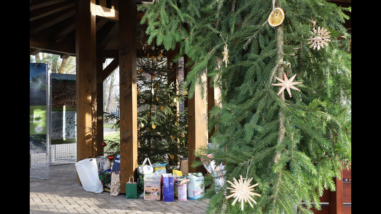 Vánoce na SOOSu byly jako každý rok příjemným setkáním 🎄🎁🦉🐾