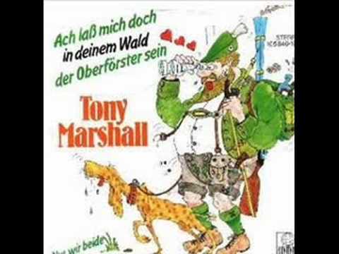 Tony Marshall - Ach lass mich doch in deinem Wald...