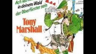 Tony Marshall - Ach lass mich doch in deinem Wald...
