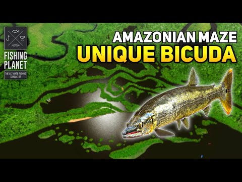 Unique Bicuda Amazonian Maze - Fishing Planet