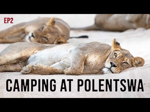 Camping at Polentswa - Kgalagadi (Part 1 of 4) - EP2