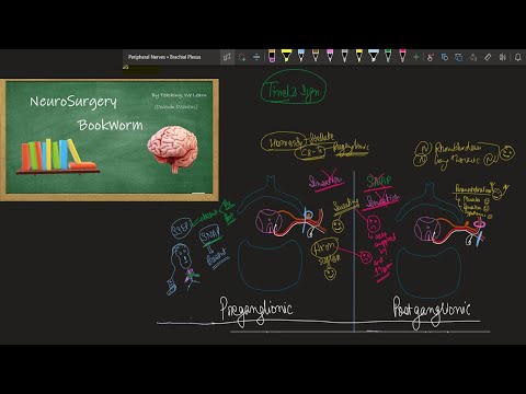 Preganglionic and Postganglionic Injury