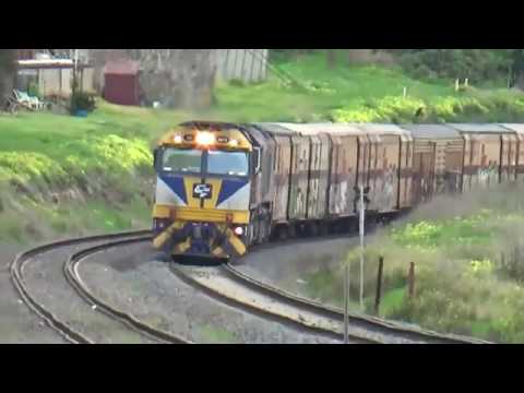 5PM9 SCT Freight Train With Loco CF4410 SCT010 CSR010