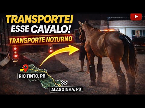 TRASPORTEI UM CAVALO DE RIO TINTO PB PARA ALAGOINHA PB A NOITE 