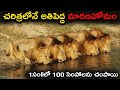 జంతుచరిత్రలోనే అతిపెద్ద మారణహోమంII Mapog