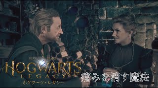 【ホグワーツレガシー】痛みを消す魔法【SPADE1136】