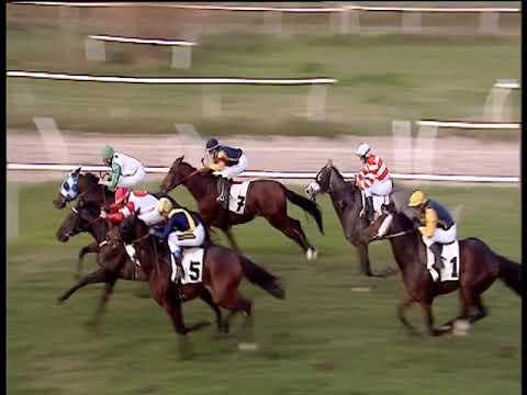 Galoppo 03/12/2019 - 5ª corsa