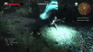 The Witcher 3 : Caretaker / Gravedigger Fight - How to kill -  Death March