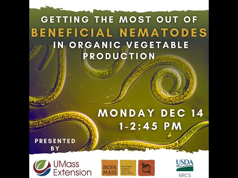 Getting the Most Out of Beneficial Nematodes in Organic Vegetable Production