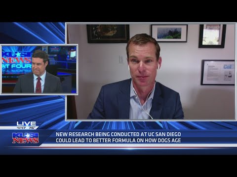 UCSD Scientists develop better method than ‘Multiply by 7’ to find out your dogs age