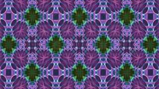 Christo Redemtor Harvey Mandel