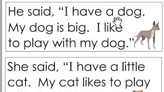 Very first sight word sentences 25 said
