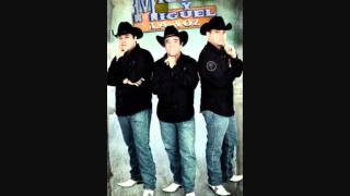 miguel y miguel nido caido