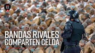 Cárceles de El Salvador: Nayib Bukele ordena mezclar miembros de pandillas rivales | El Espectador