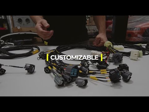 Rywire Engine Harness Basics. How to Order. OBD Identification and More!