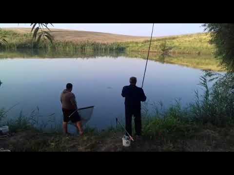 Danesti 7 , 09.09.2018