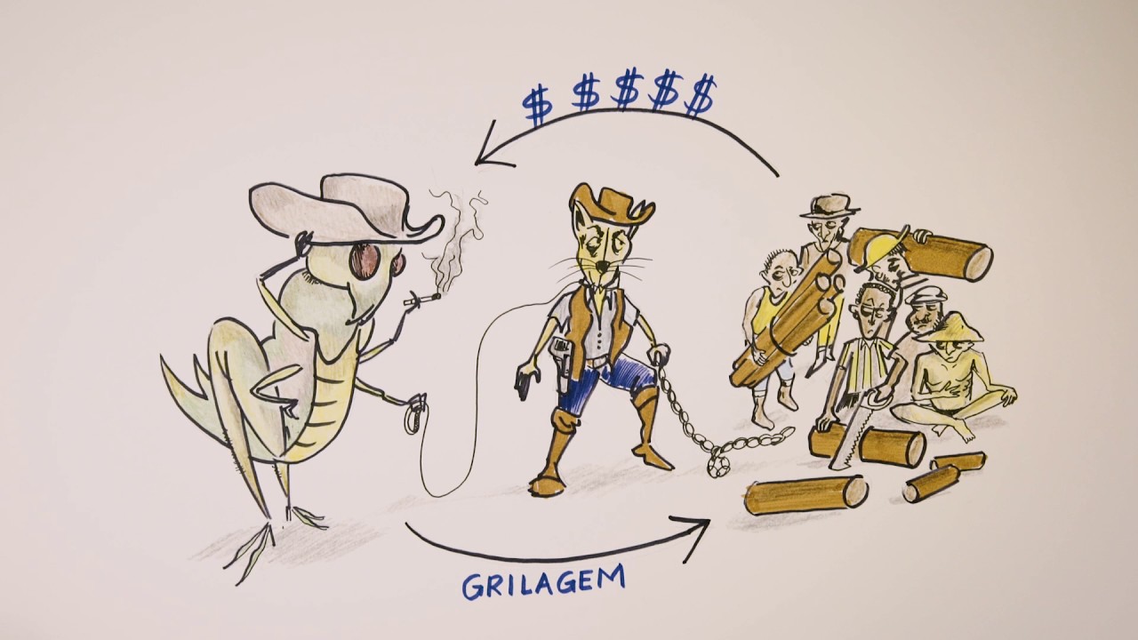 Grilagem e desmatamento