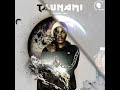 Da Lee LS Tsunami