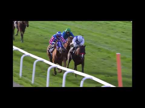 Havana Red (GB) - Norsk Oaks 2020 official replay